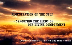 CO 4-1-13 Regeneration